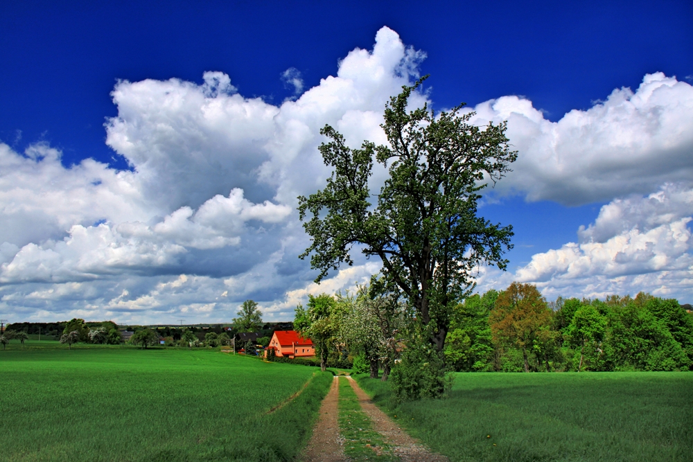 Der Weg ins Dorf (1)