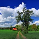 Der Weg ins Dorf (1)