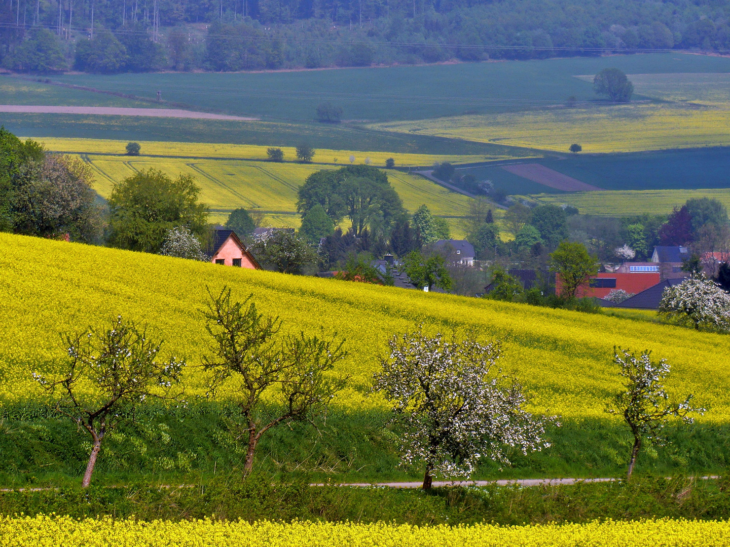 Der Weg ins Dorf