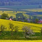 Der Weg ins Dorf