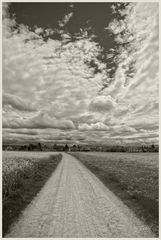 Der Weg ins Dorf