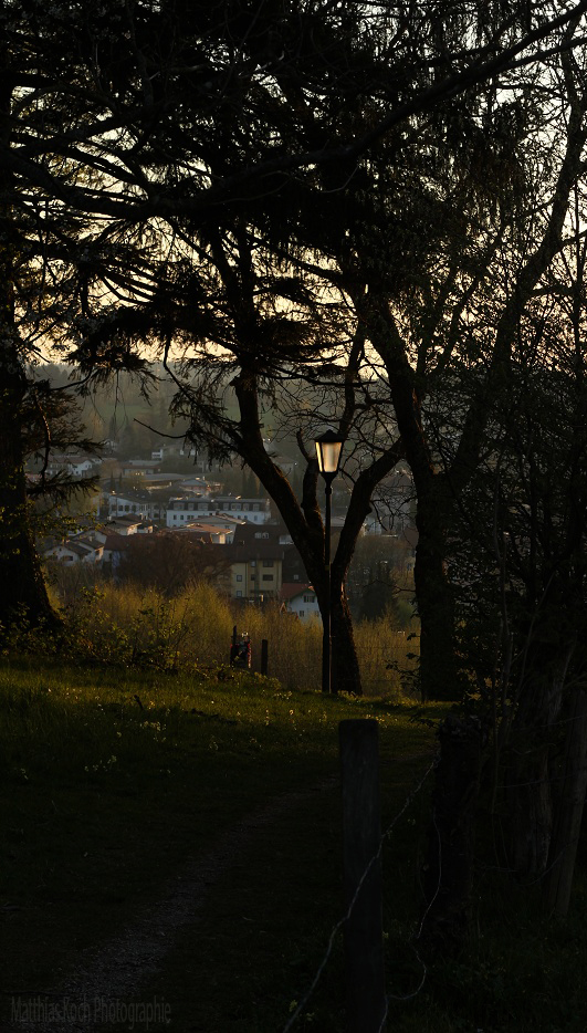 Der Weg ins Dorf