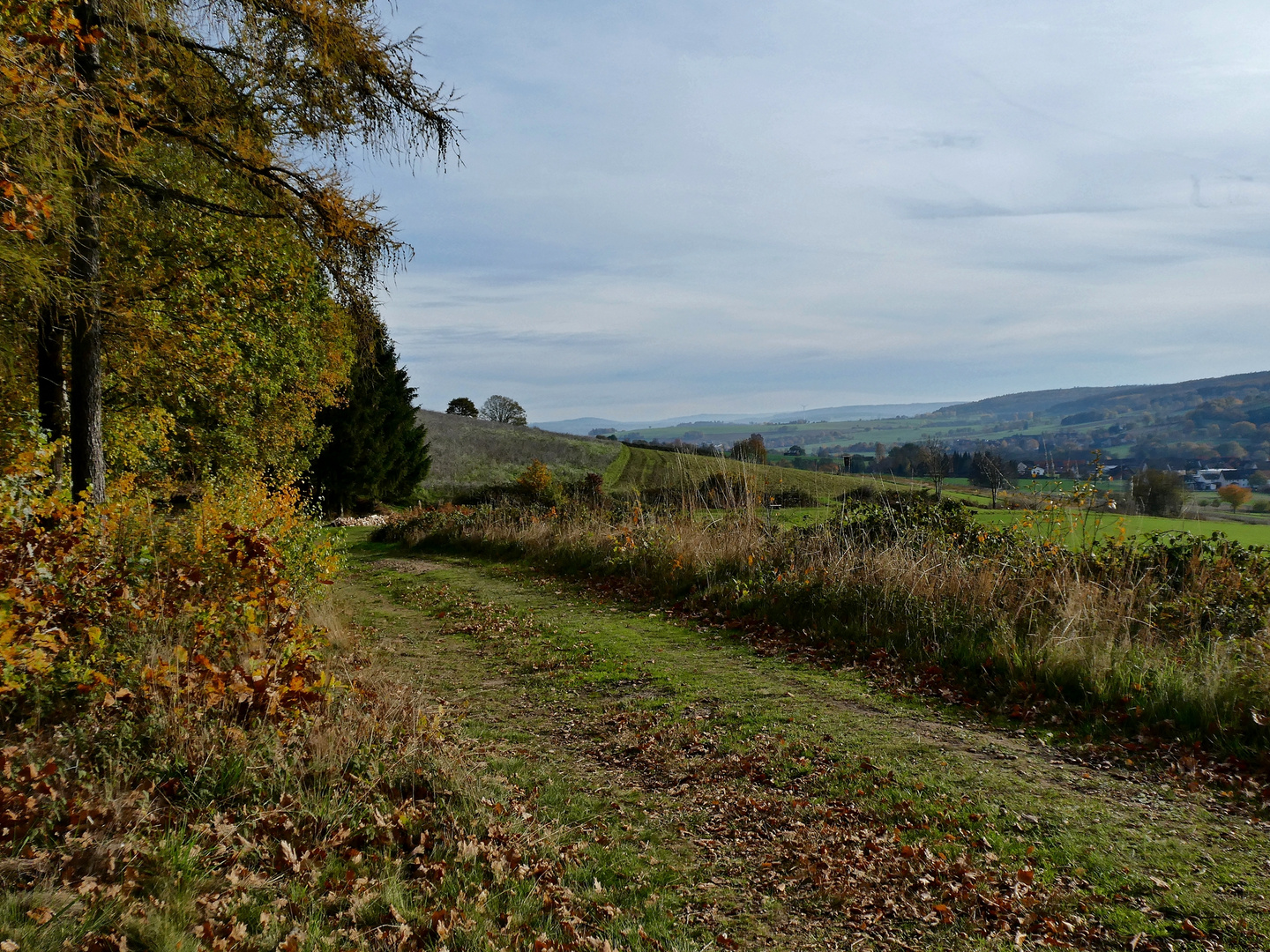 Der Weg ins Dorf