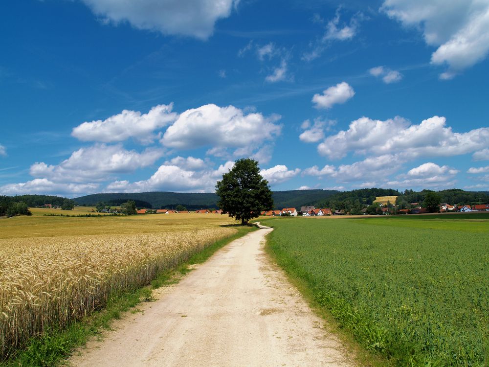 der Weg ins Dorf