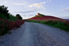 Der Weg ins Glück