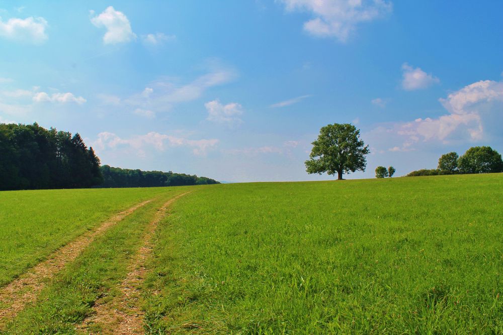 Der Weg ins Glück