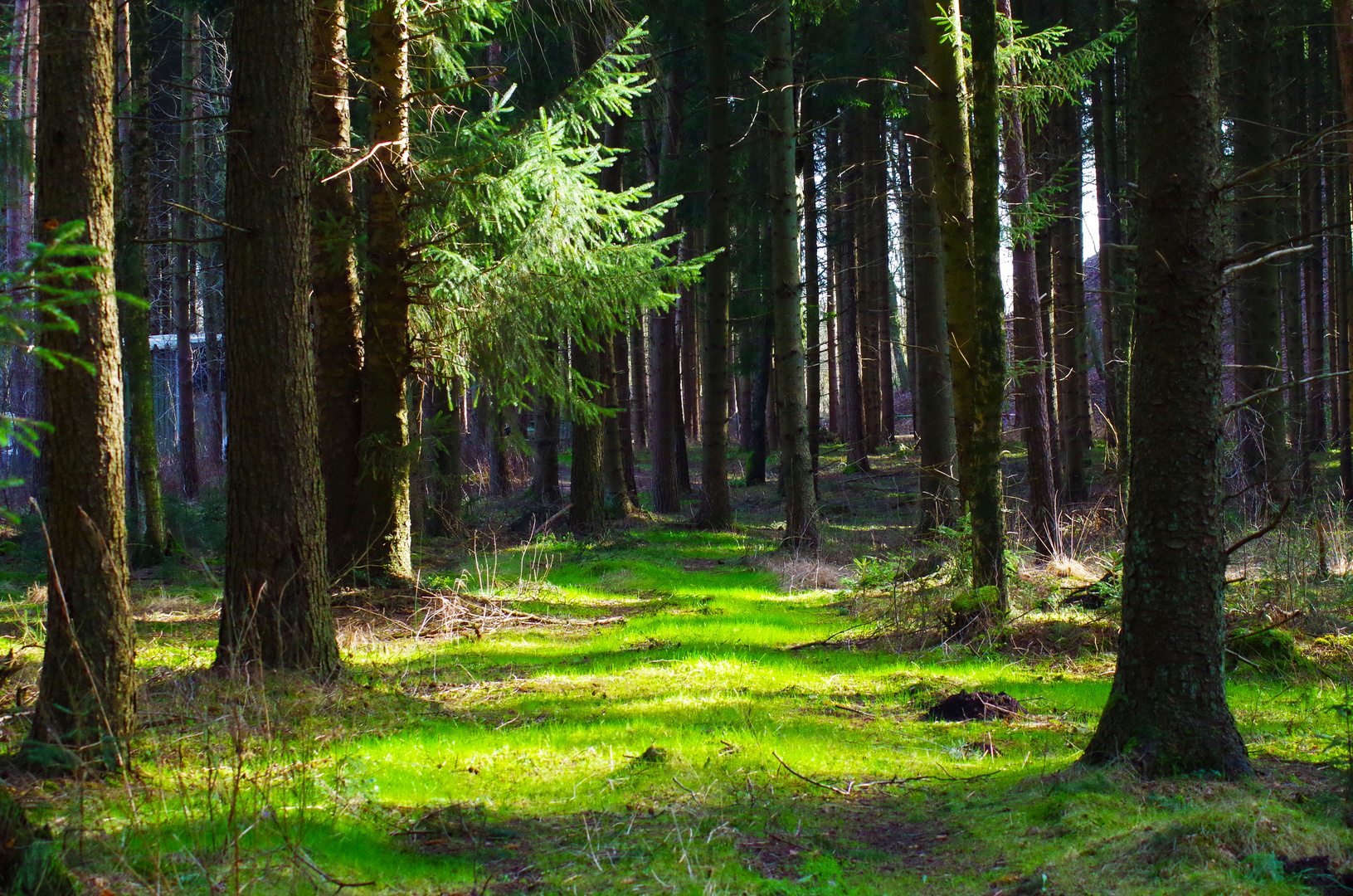 Der Weg ins Glück