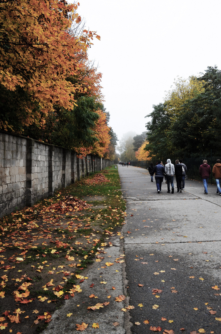 Der Weg ins Grauen