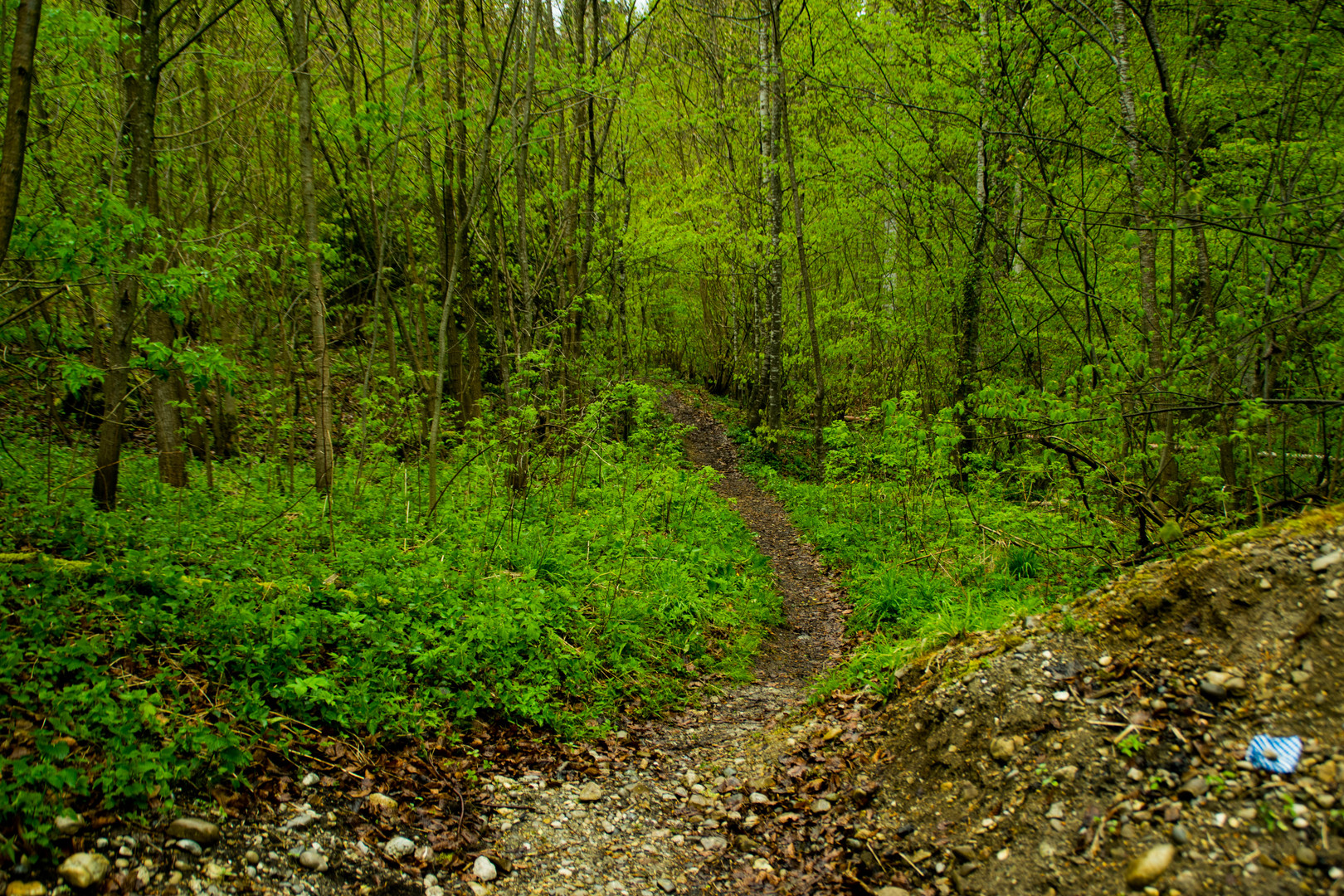 Der Weg ins Grün