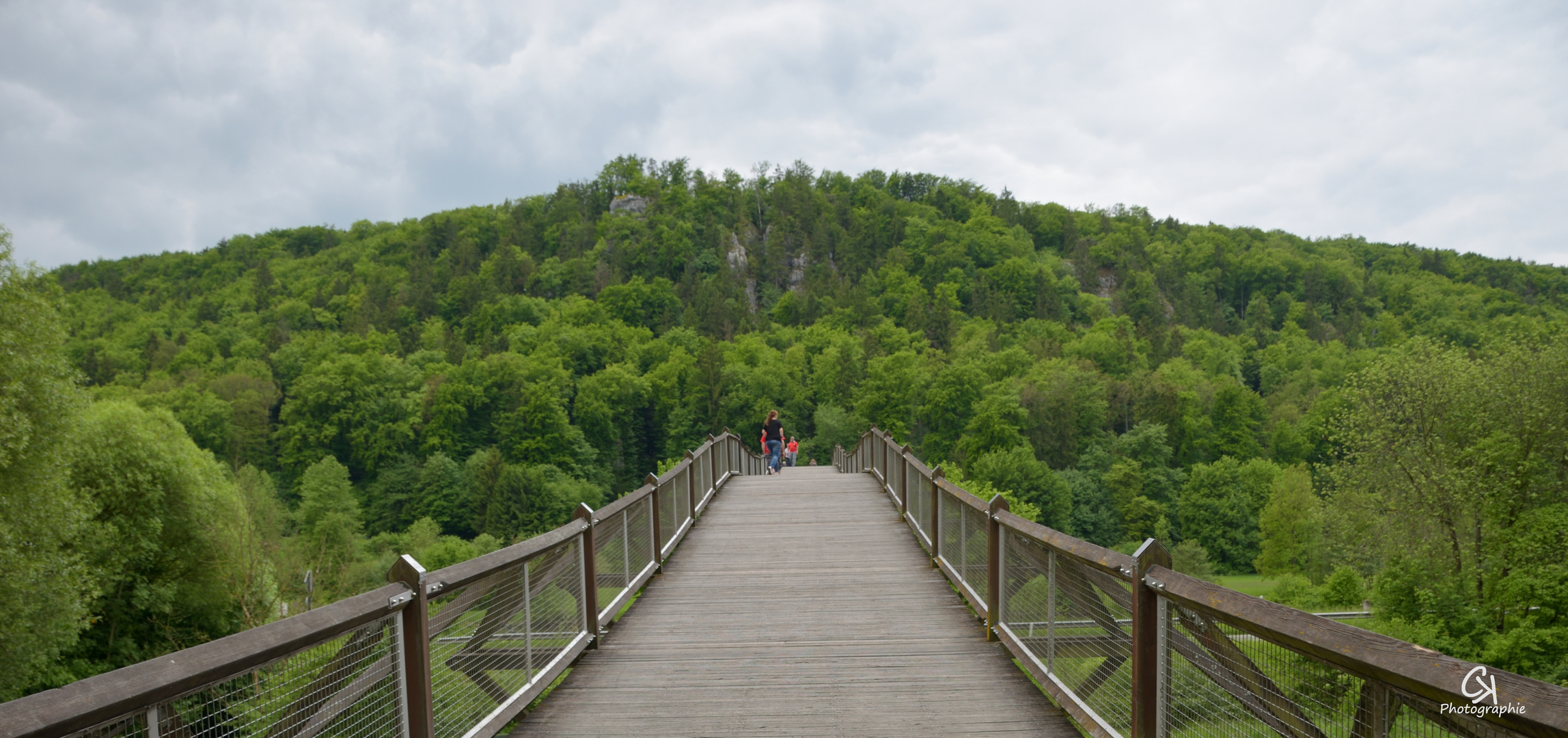 Der Weg ins Grün