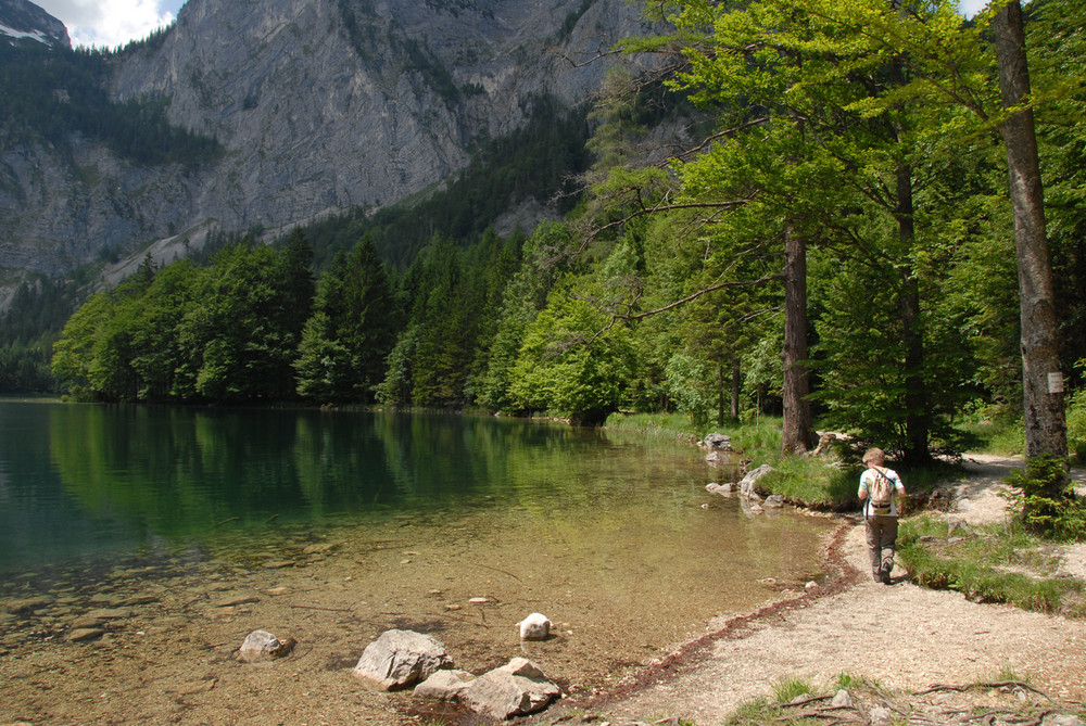 Der Weg ins Grün