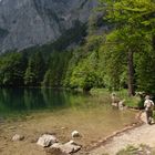 Der Weg ins Grün