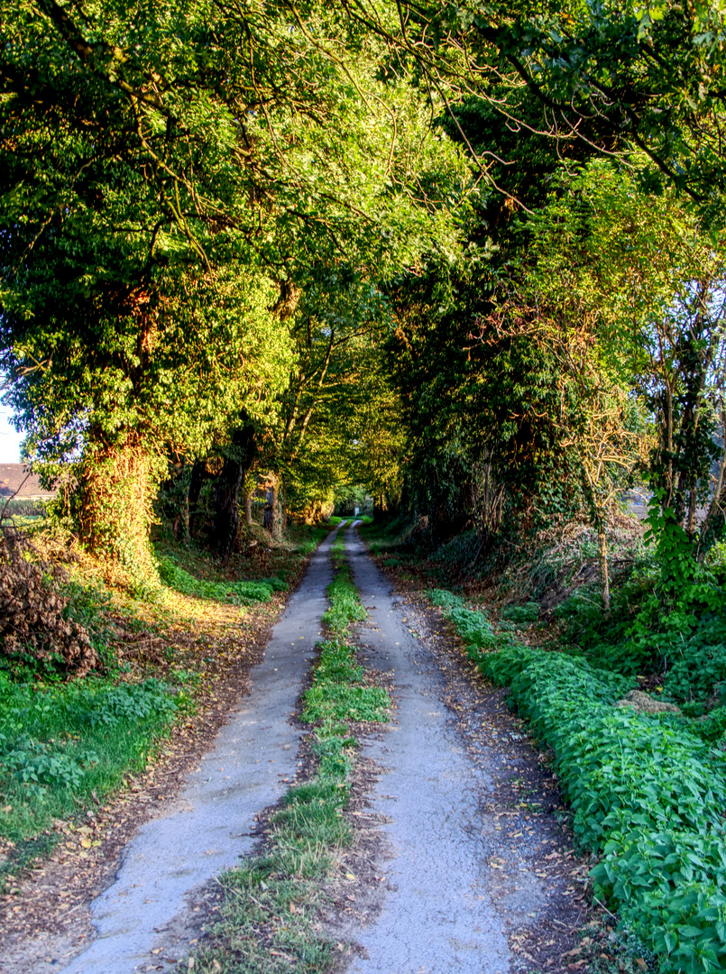 Der Weg ins Grüne