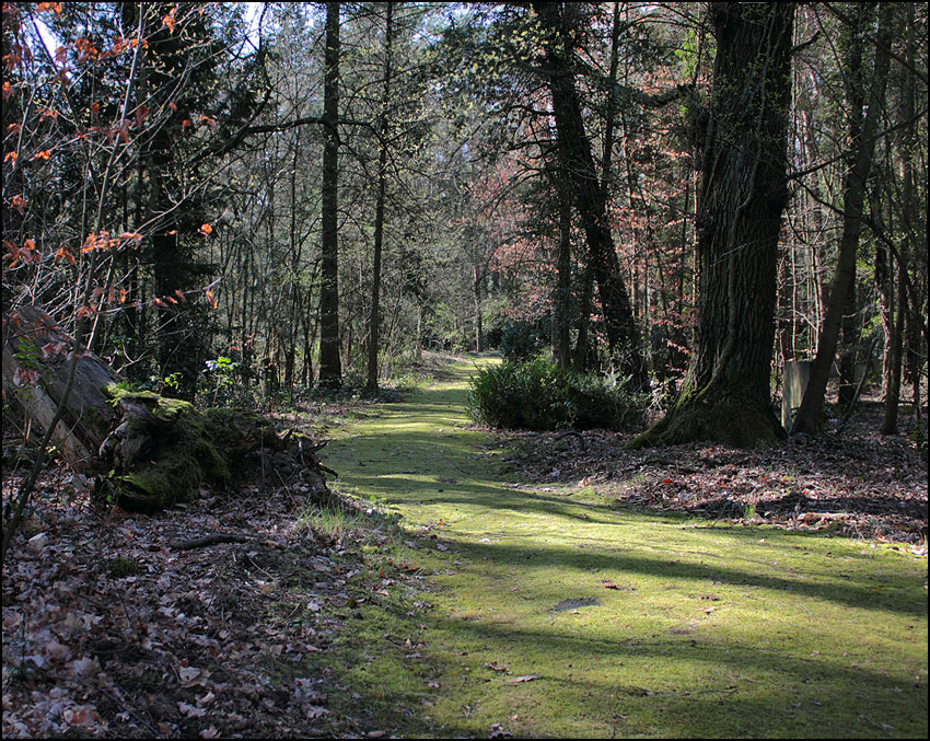 Der Weg ins irgendwo ...