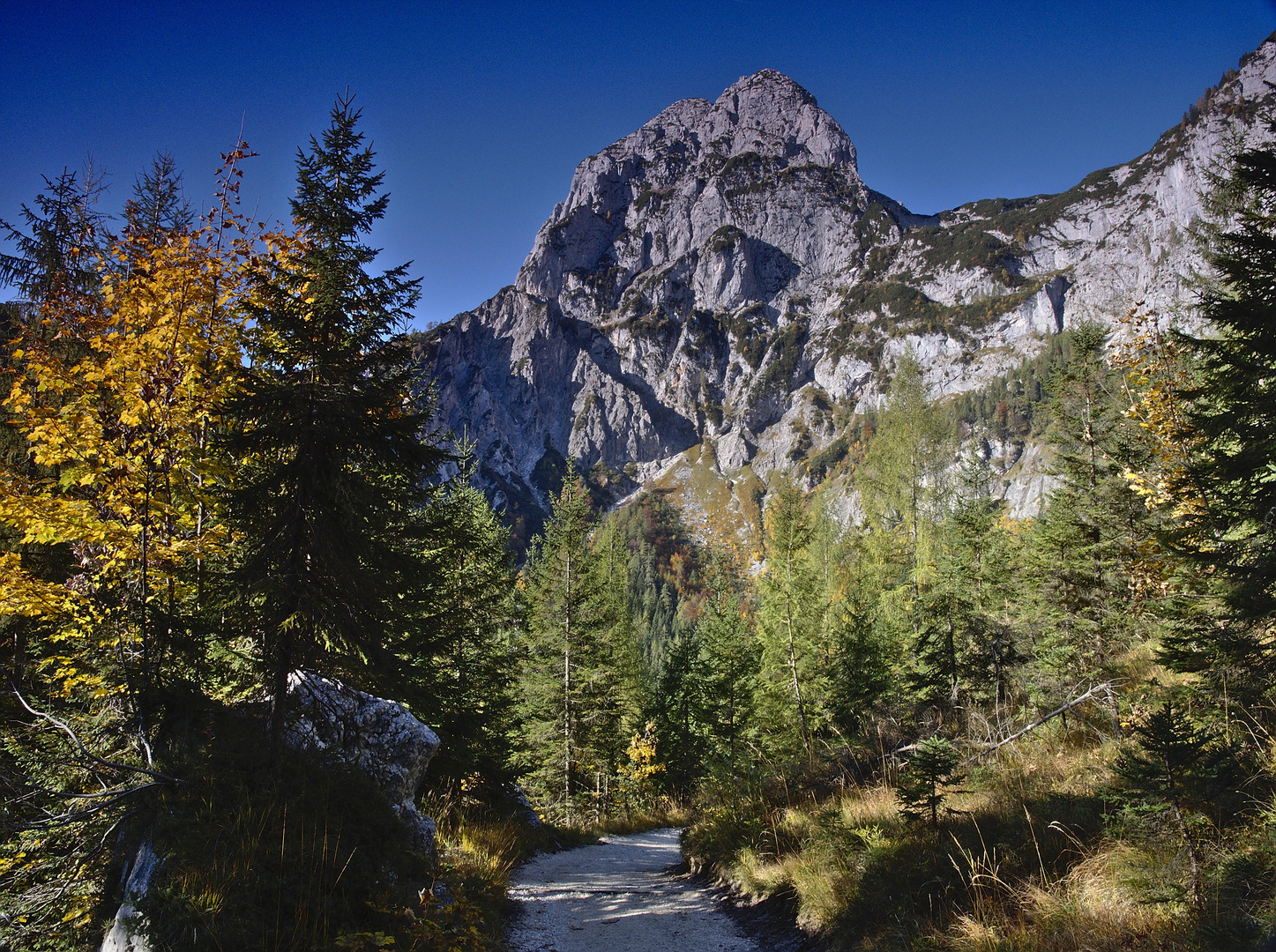 Der Weg ins Klausbachtal