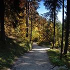 Der Weg ins Klausbachtal