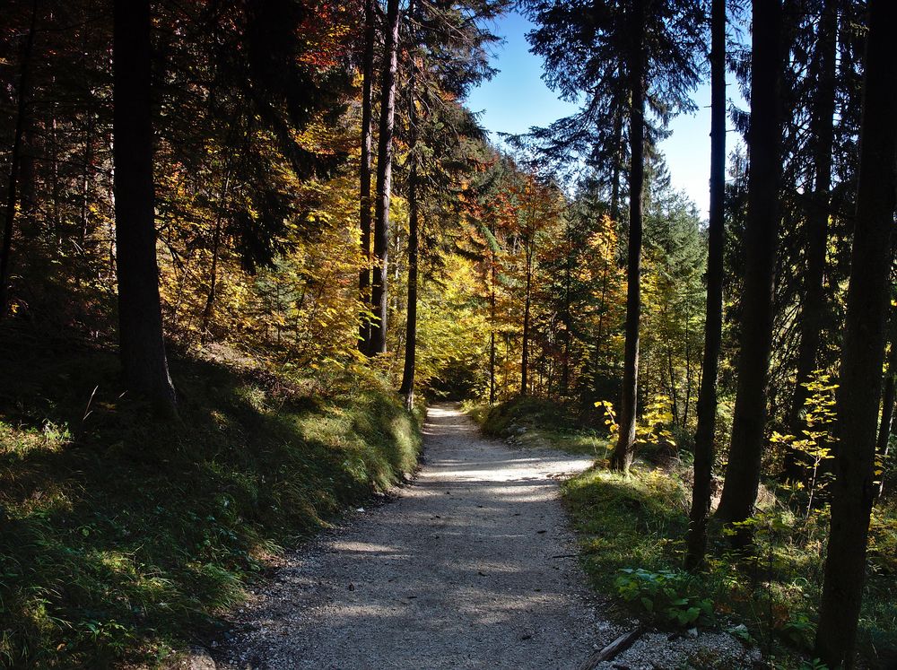 Der Weg ins Klausbachtal