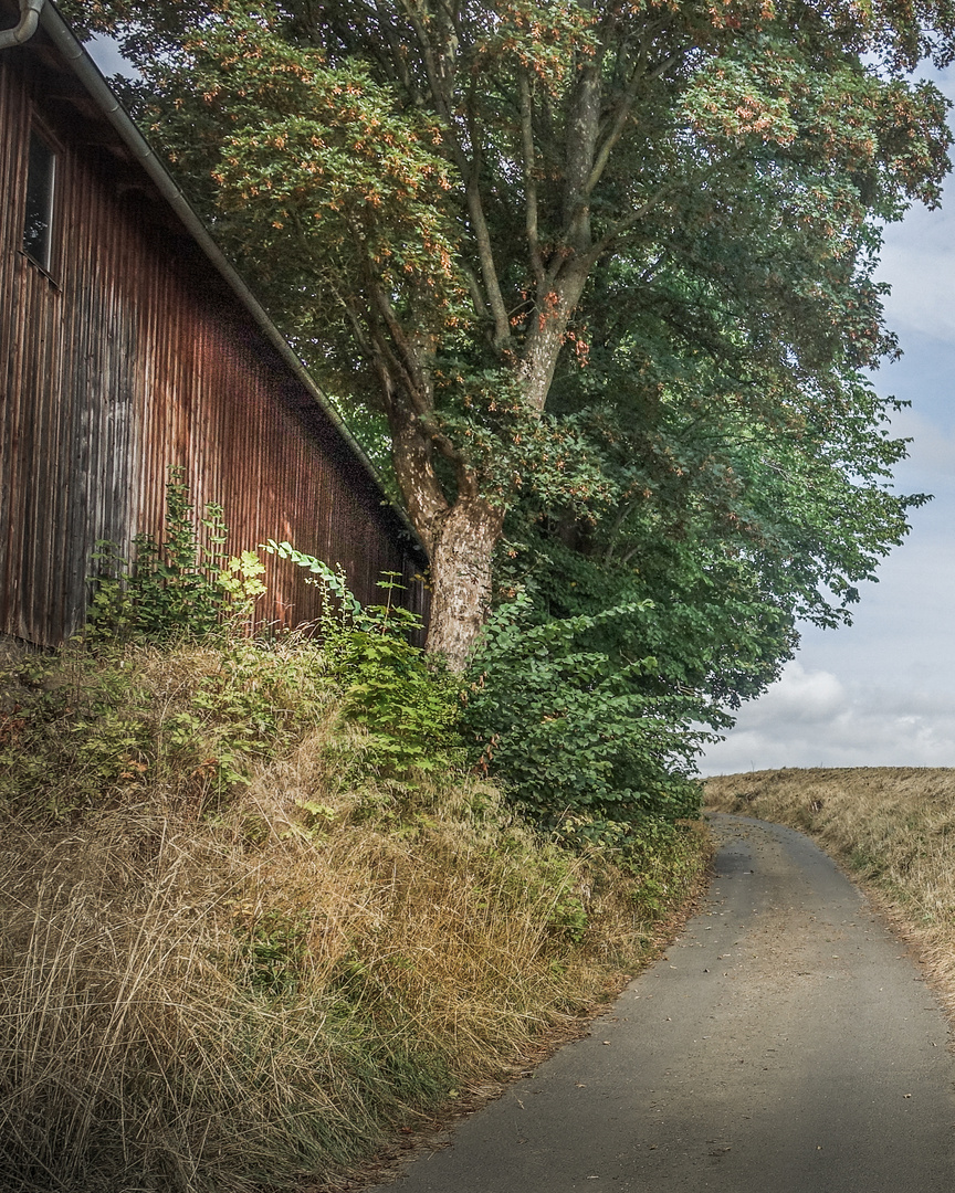 der Weg ins Land 