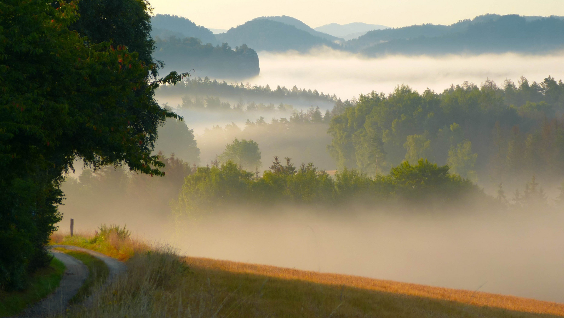 Der Weg ins Land der Nebel