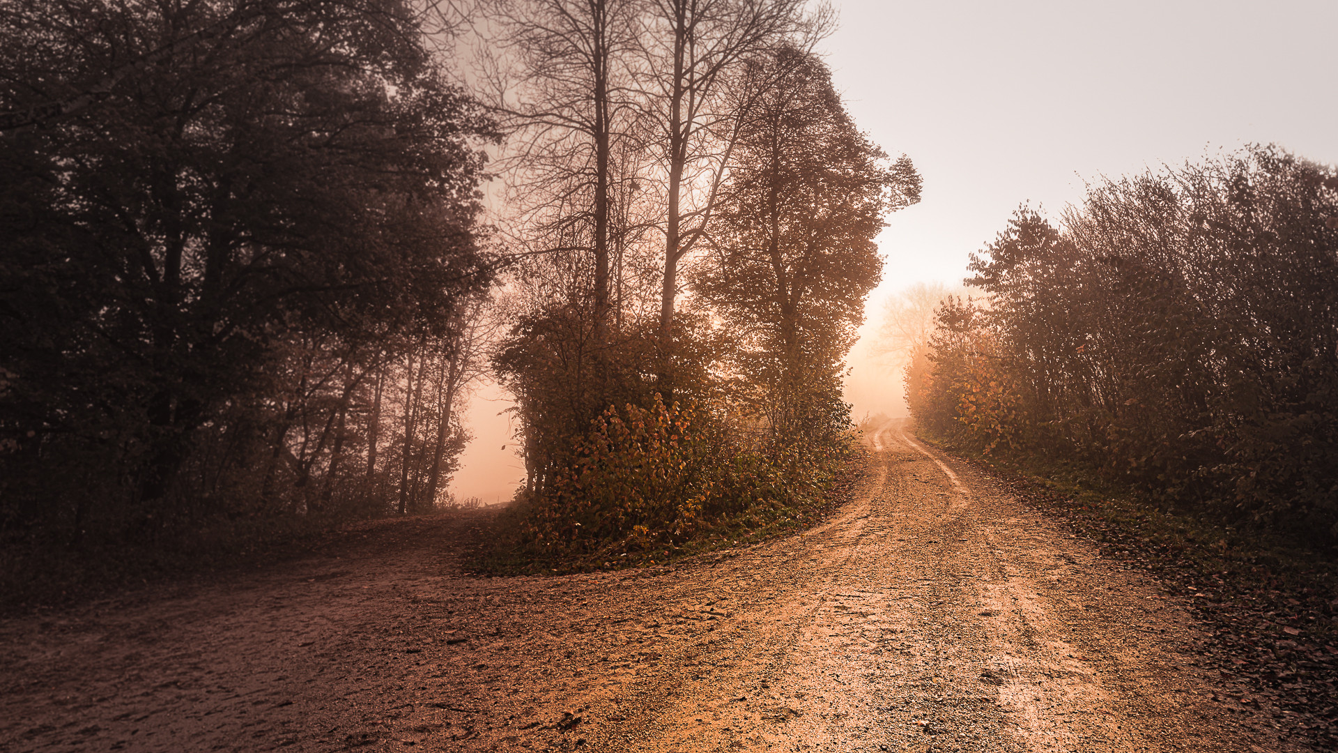 Der Weg in`s Licht