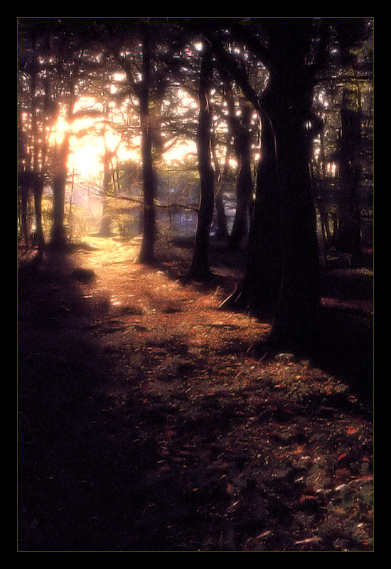 Der Weg ins Licht