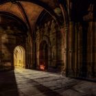 Der Weg ins Licht 