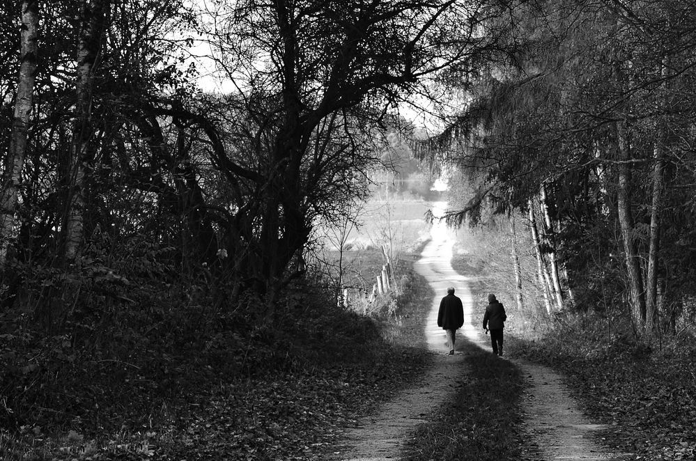 Der Weg ins Licht von callisahin 