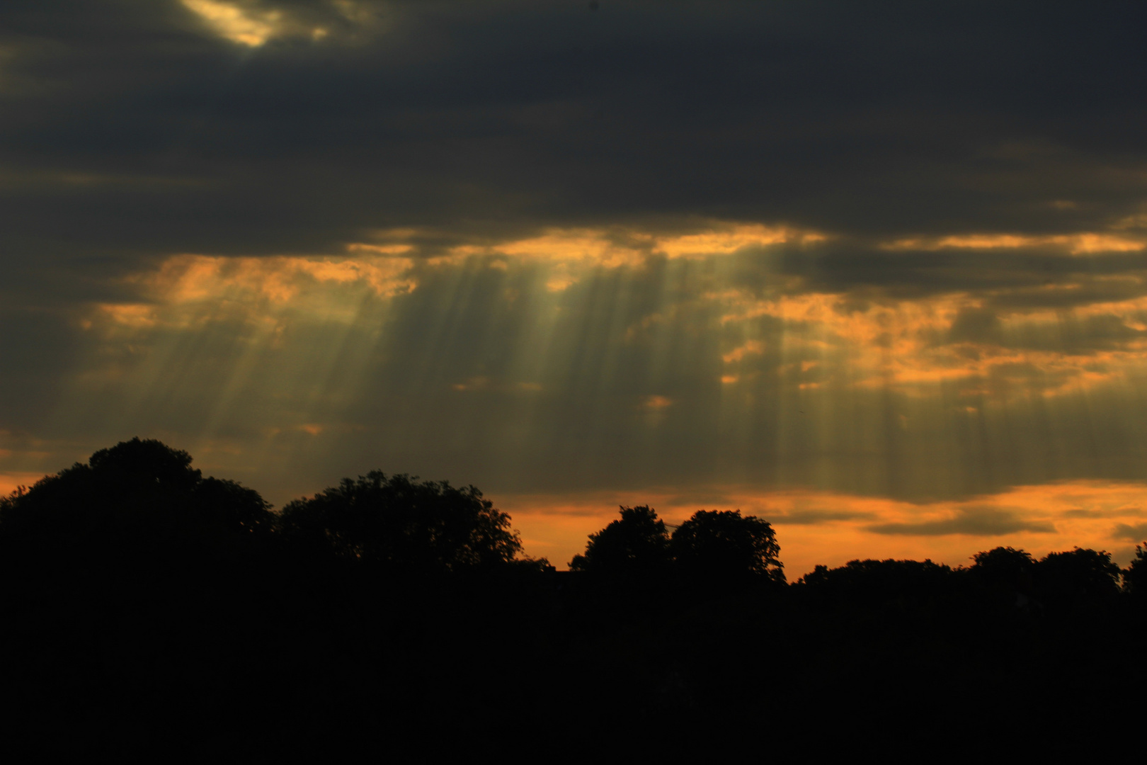 Der Weg ins Licht