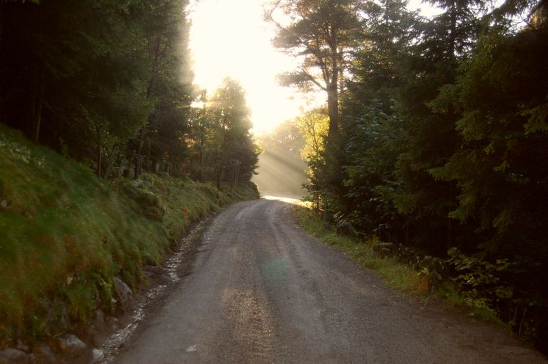 Der Weg ins Licht