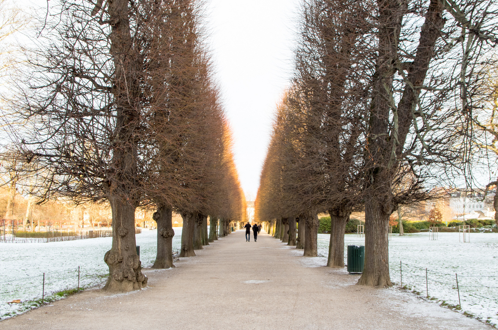 Der Weg ins Licht...