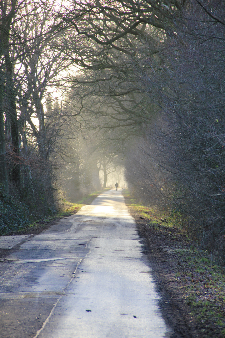 Der Weg ins Licht!