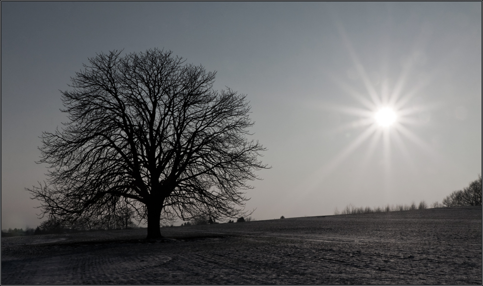 Der Weg ins Licht