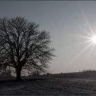 Der Weg ins Licht