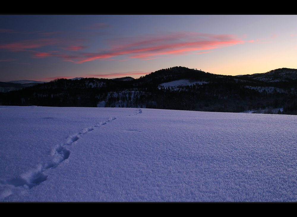 Der Weg ins Licht....