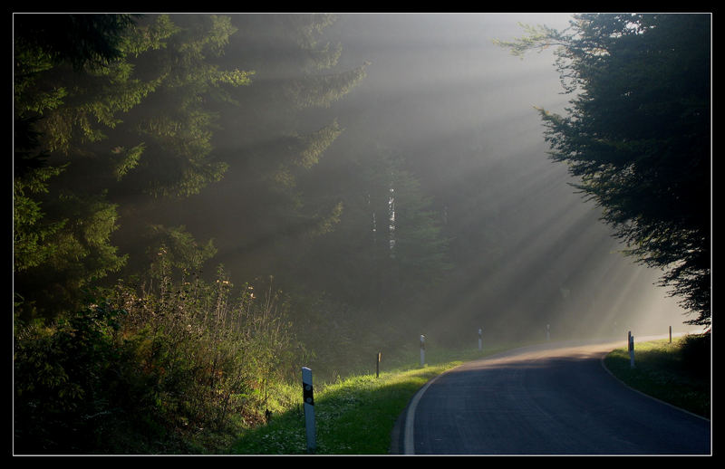 ...der Weg ins Licht