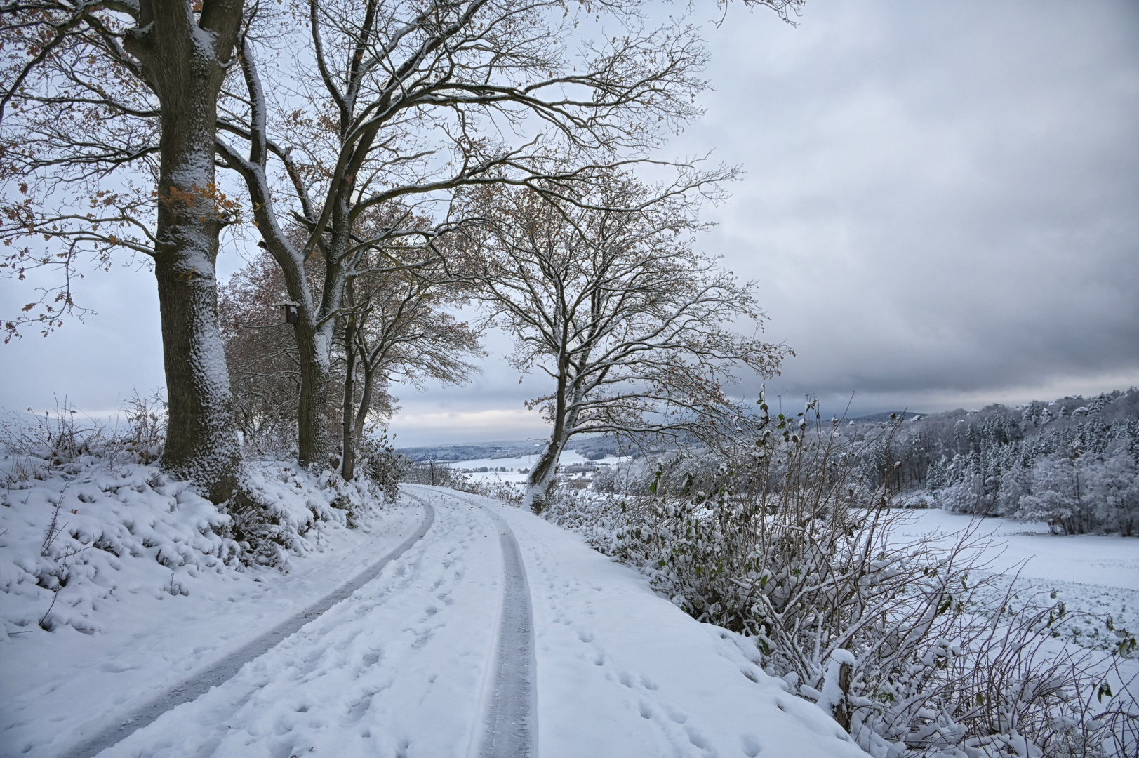 der Weg ins Licht.....