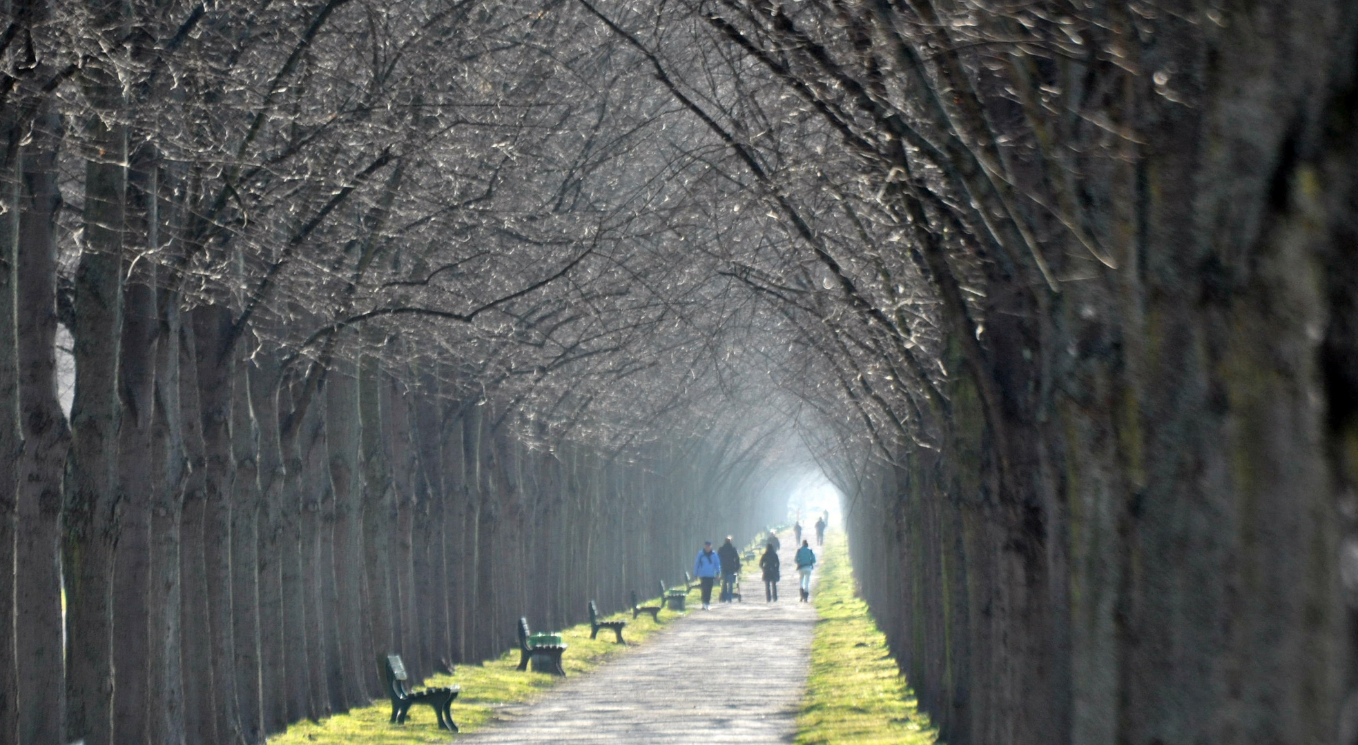 Der Weg ins Licht....