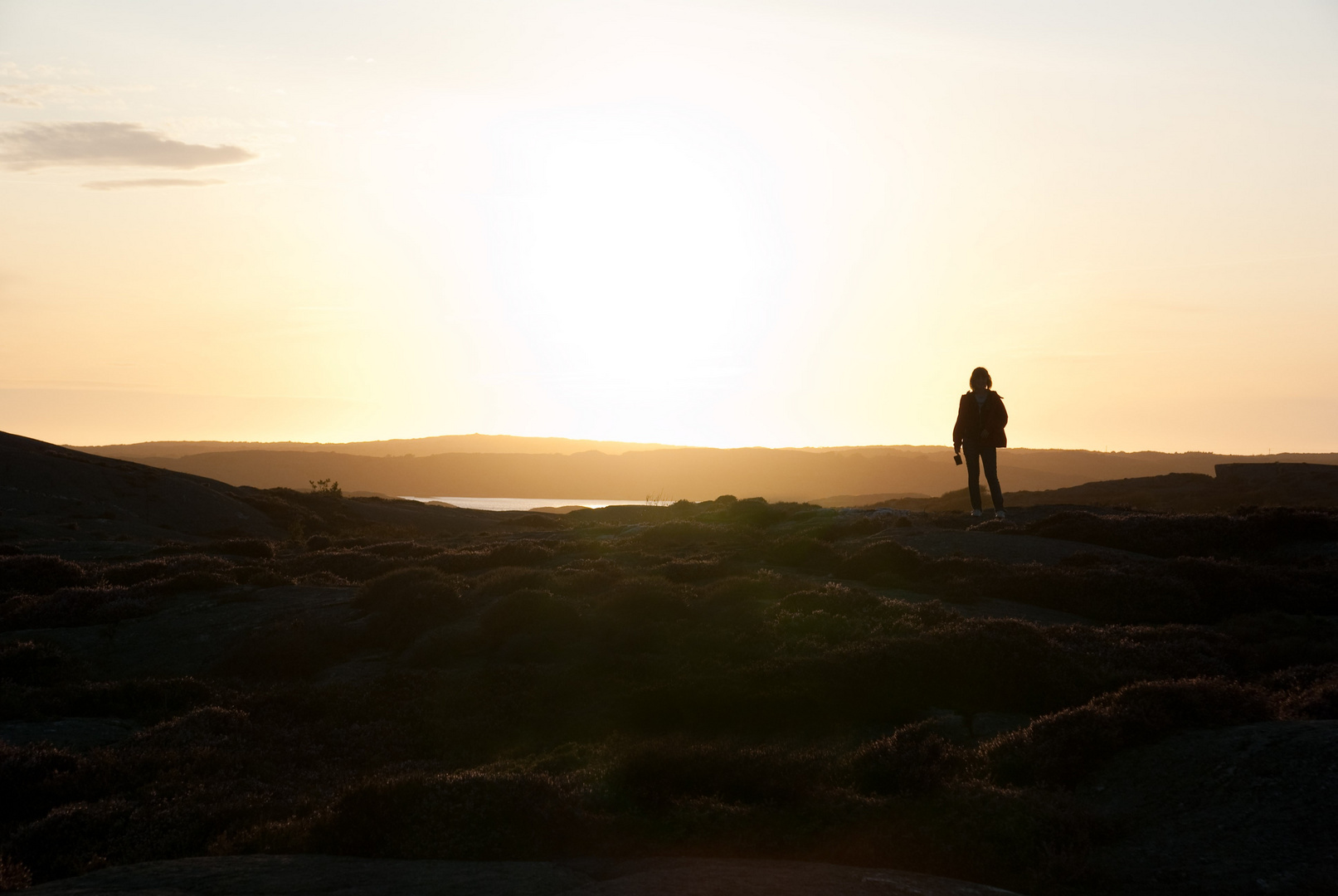 Der Weg ins Licht