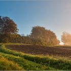 Der Weg ins Licht