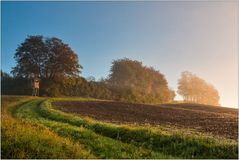 Der Weg ins Licht