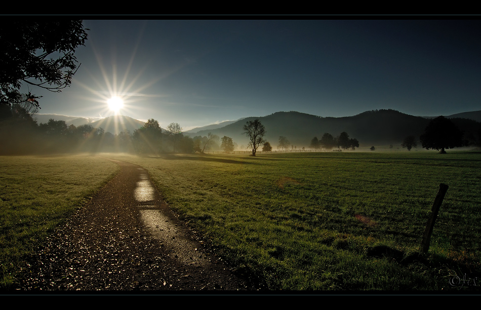 Der Weg ins Licht