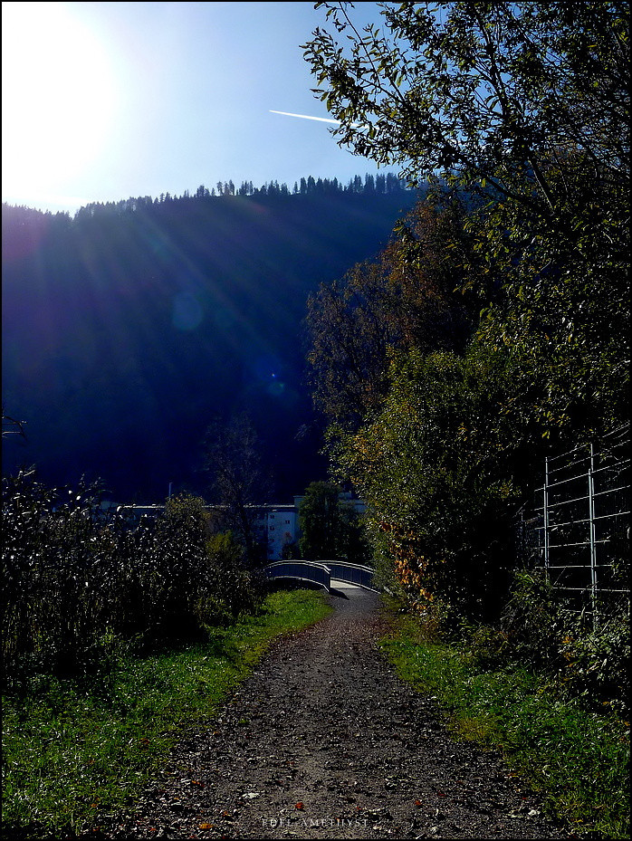 "Der Weg Ins Licht"