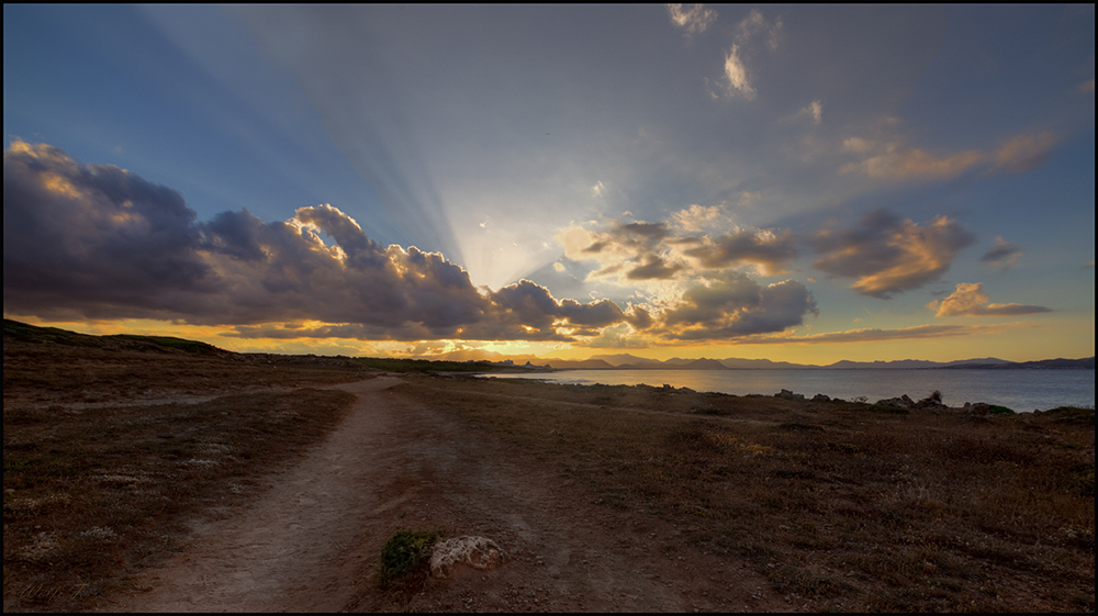 Der Weg ins Licht