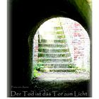 Der Weg ins Licht ...