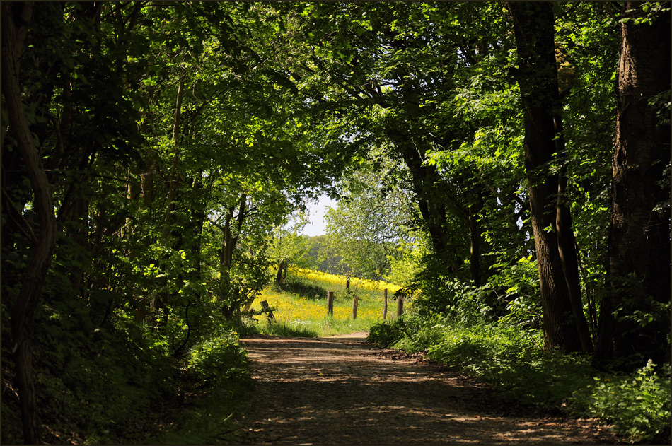 der Weg ins Licht