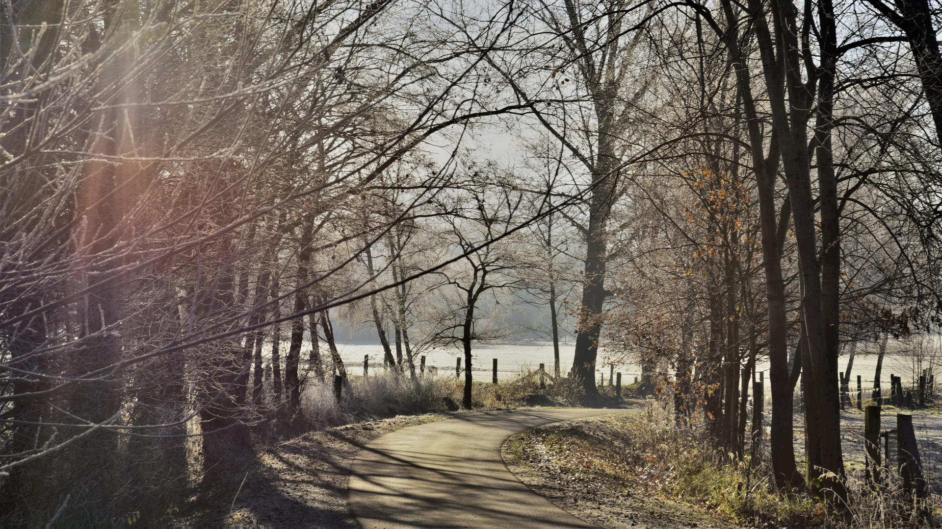 Der Weg ins Licht ist bunt