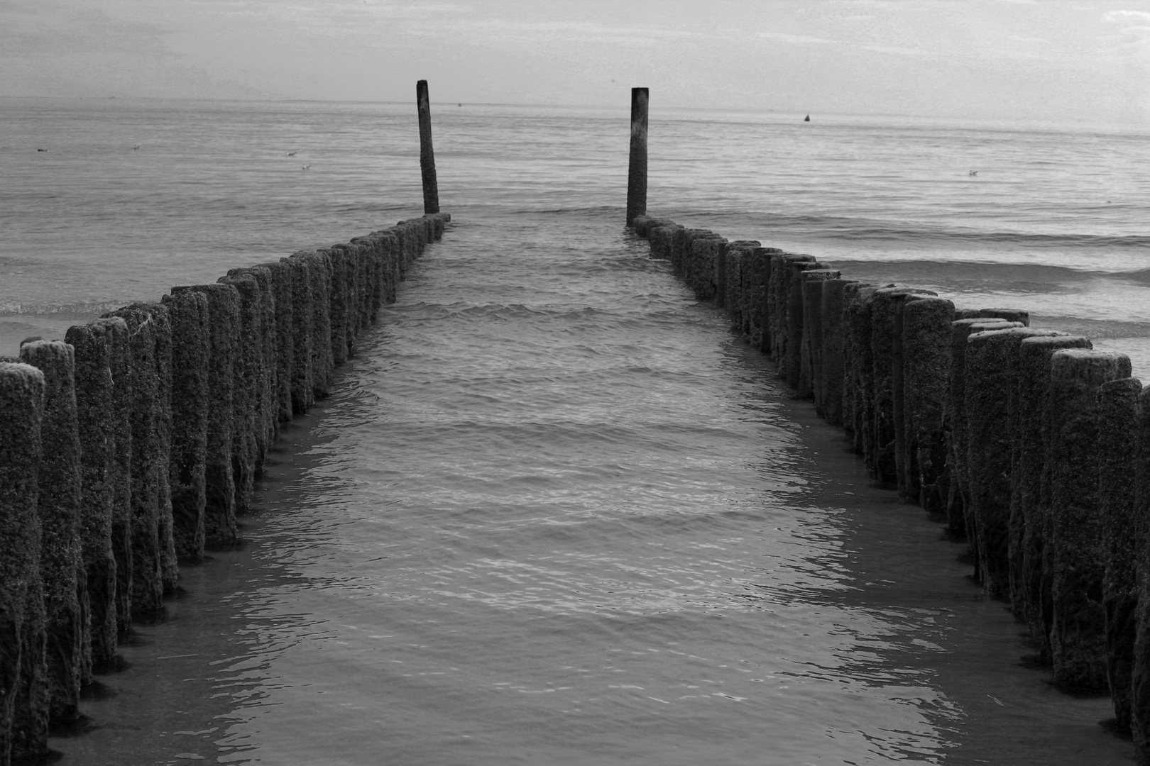 Der Weg in´s Meer