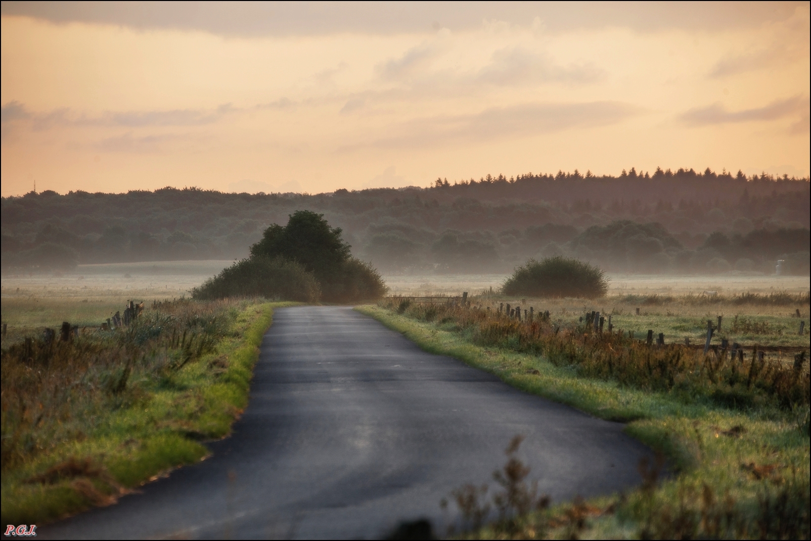 Der Weg ins Moor .....