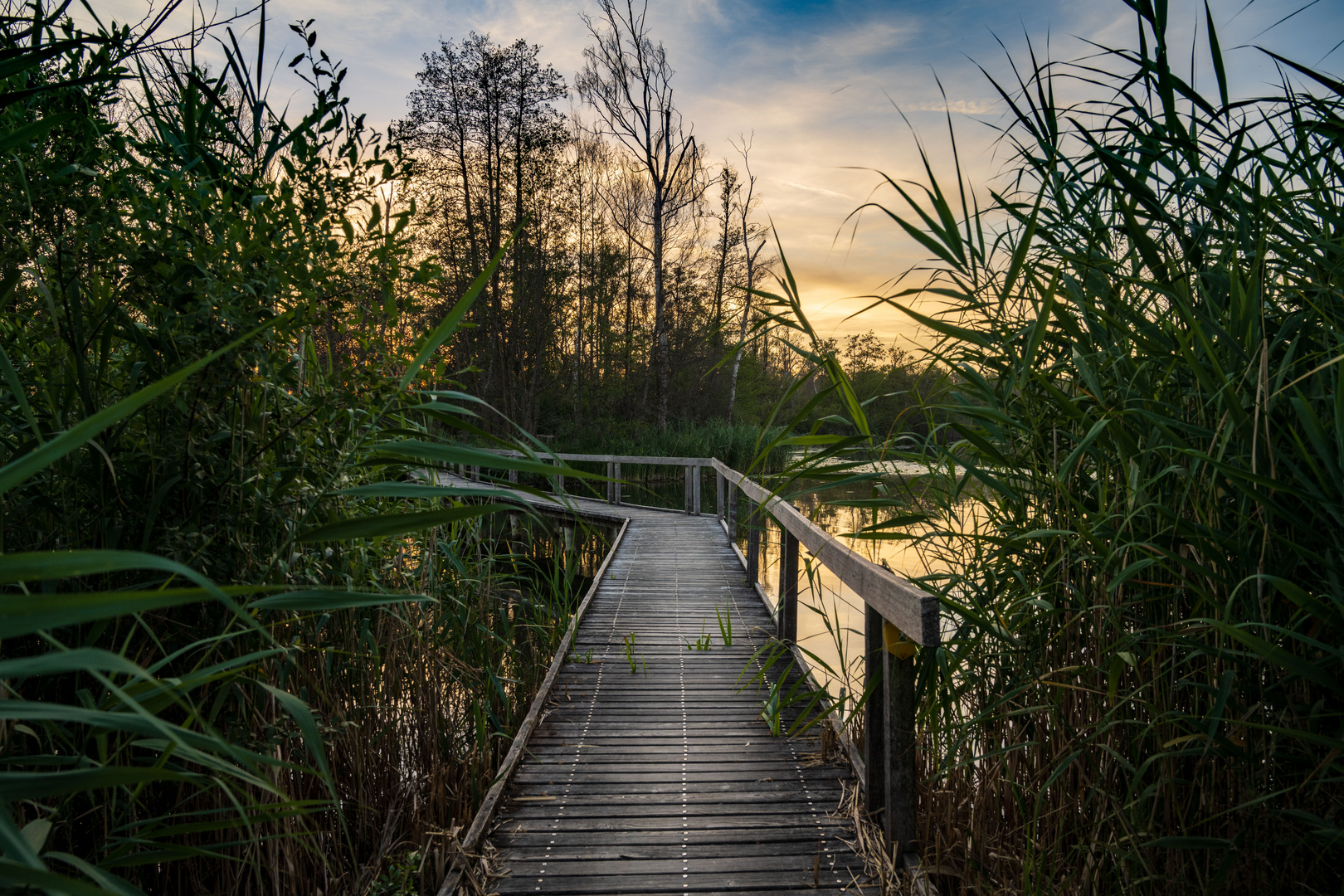 Der Weg ins Moor