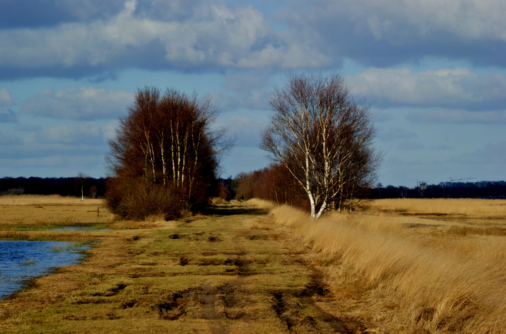 Der Weg ins Moor